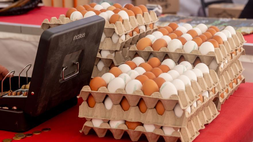 Aumenta la preocupación por la gripe aviar: ¿Me puedo contagiar por comer huevos?