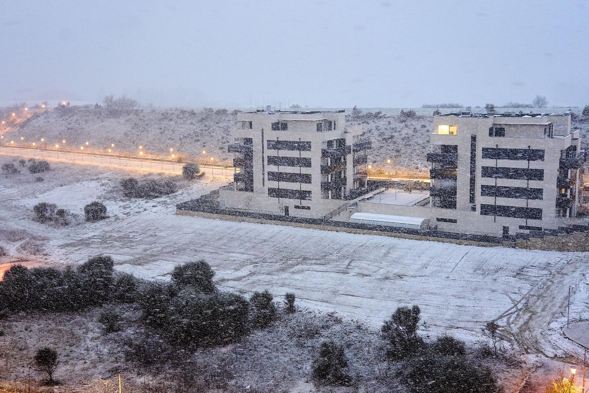 Gasteiz ha amanecido cubierta por la nieve.