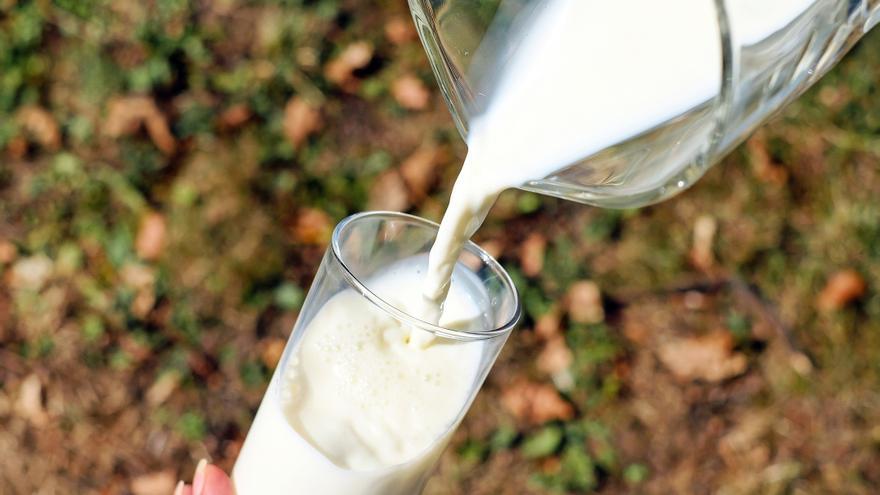 La leche como fuente natural de proteína