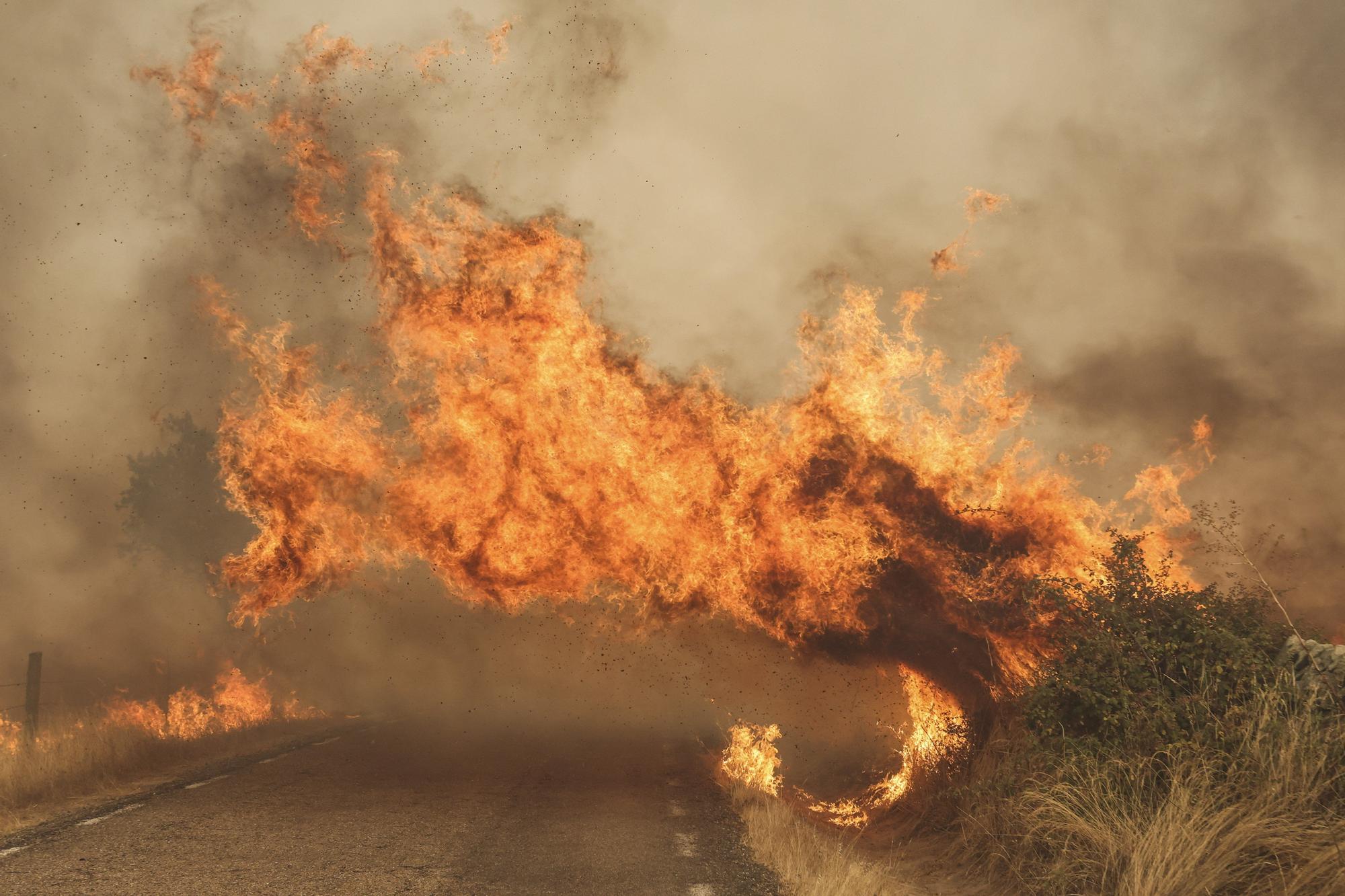 Semana negra de incendios: Cuatro muertos y 120.000 hectáreas quemadas