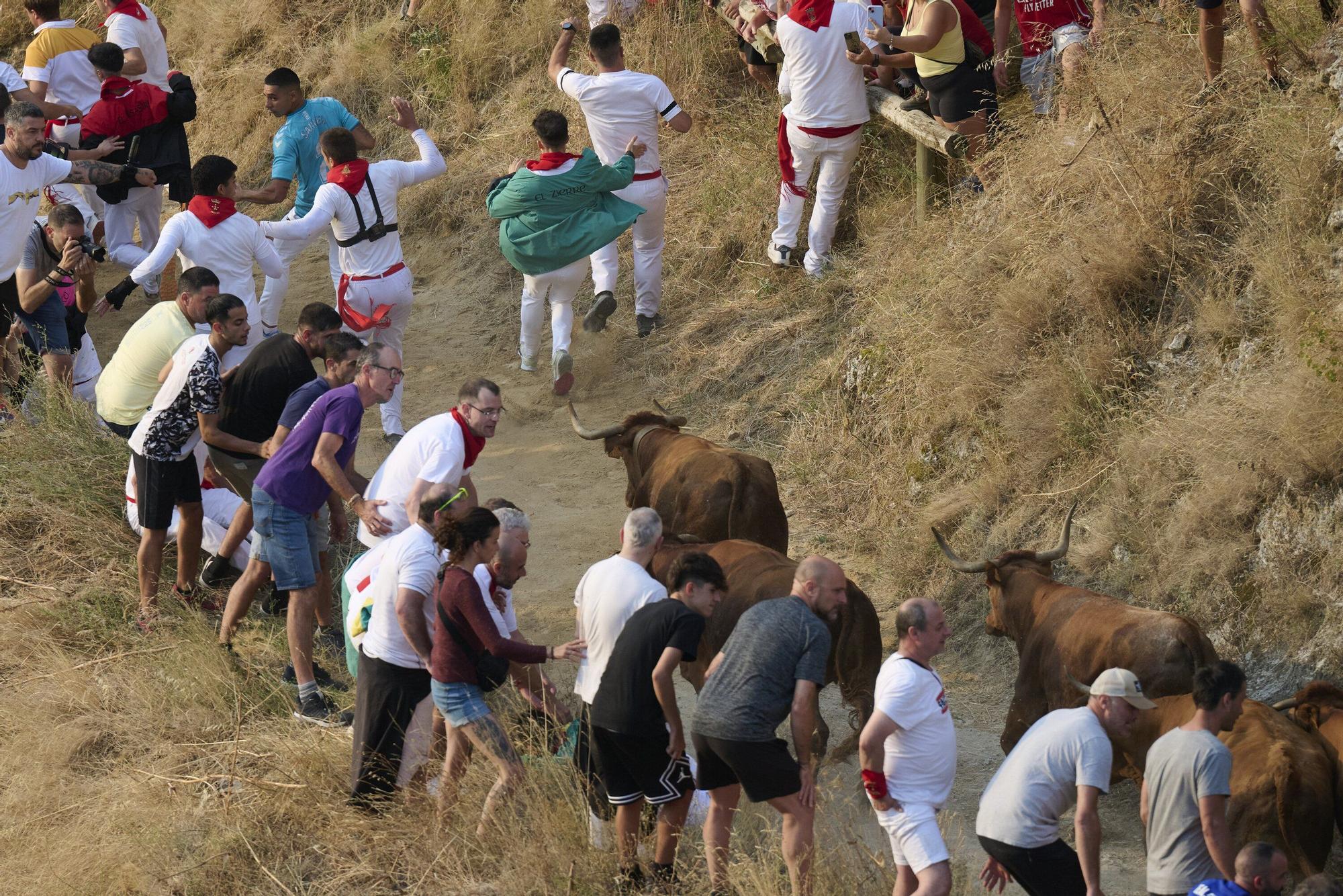 Fotos del primen encierro del Pilón en Falces 2025
