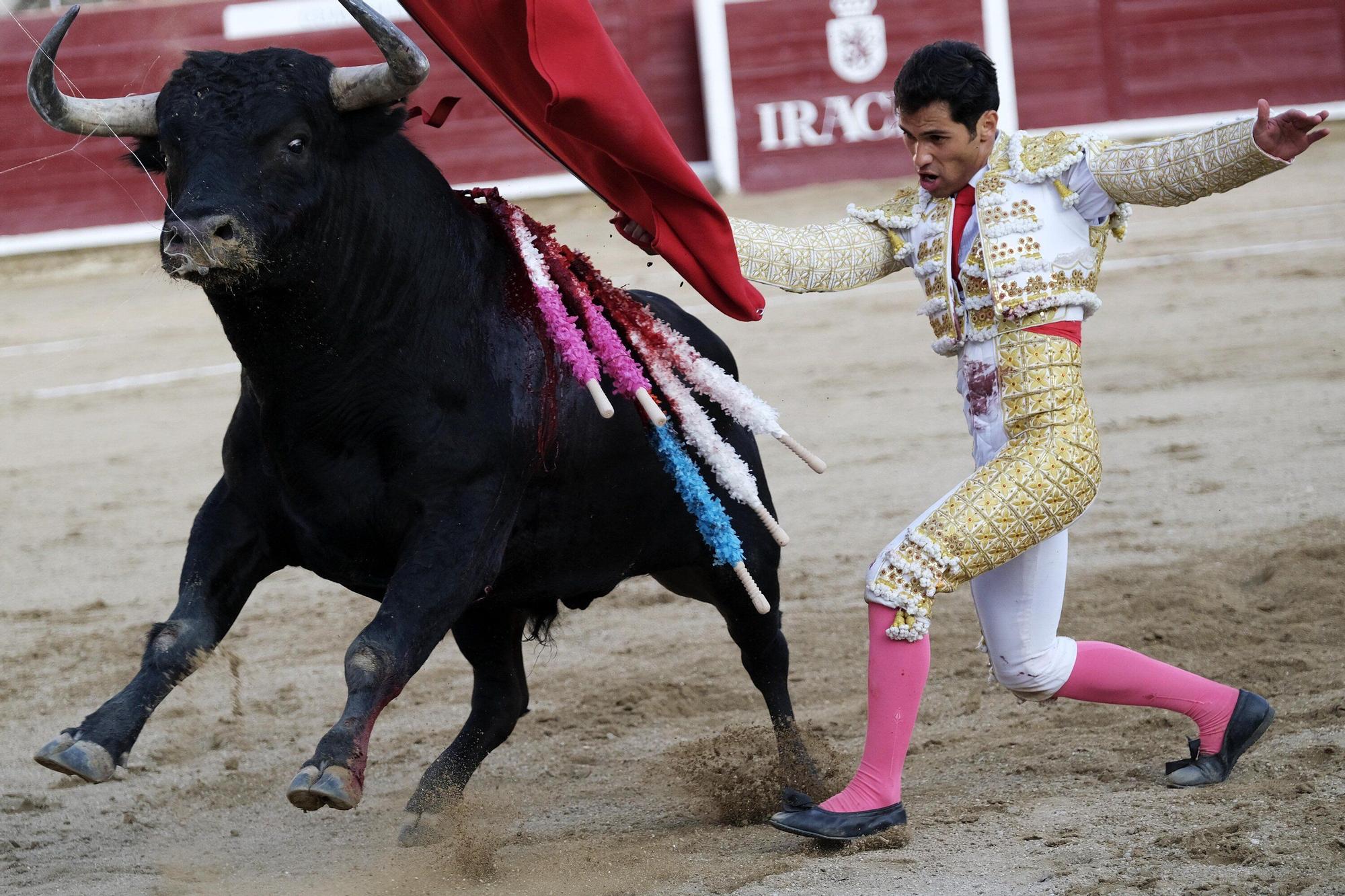 Fotos de la corrida con toros de Partido de Resina en fiestas de Estella-Lizarra