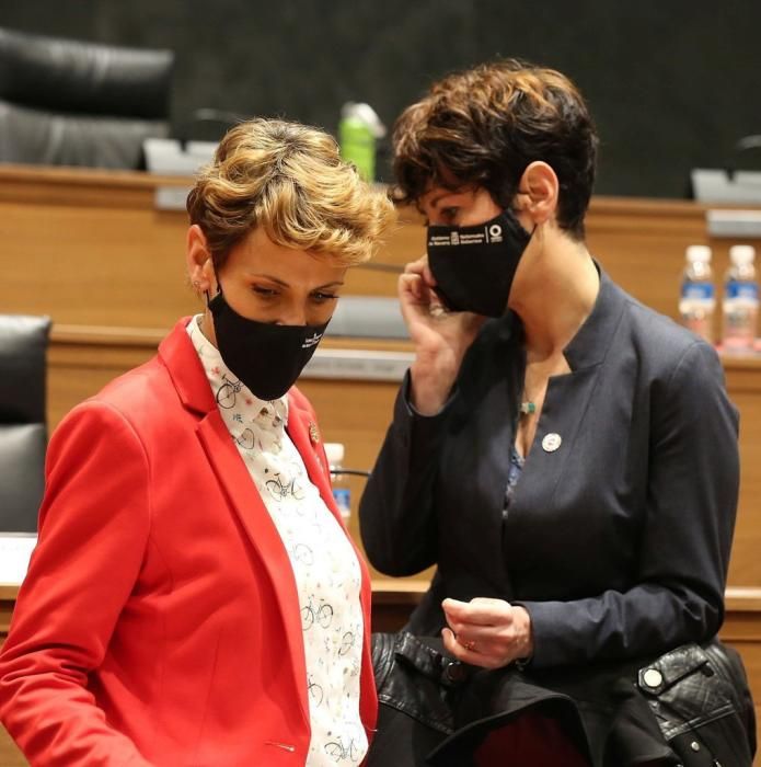 Pleno del Parlamento de Navarra (22-04-2021)
