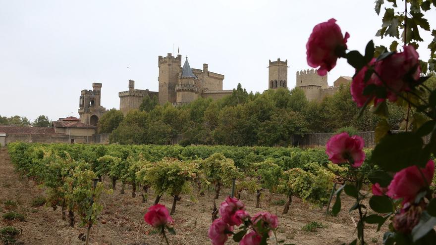 Los vinos con DO Navarra mantienen precios estables en el mercado mayorista