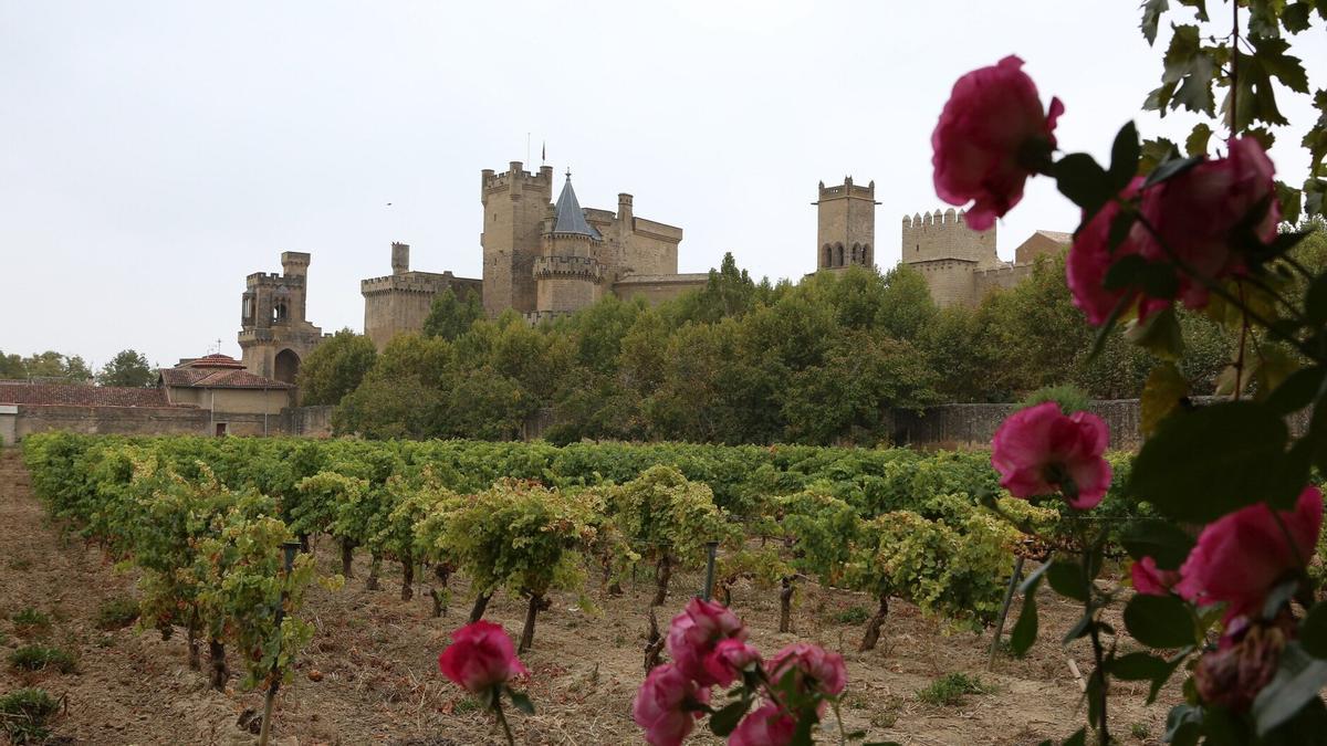 Viña del convento de San Francisco