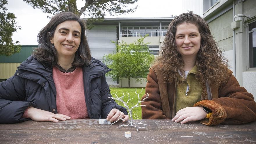 Un grupo de la EHU desarrolla baterías recargables utilizando cáscaras de pipas como materia prima