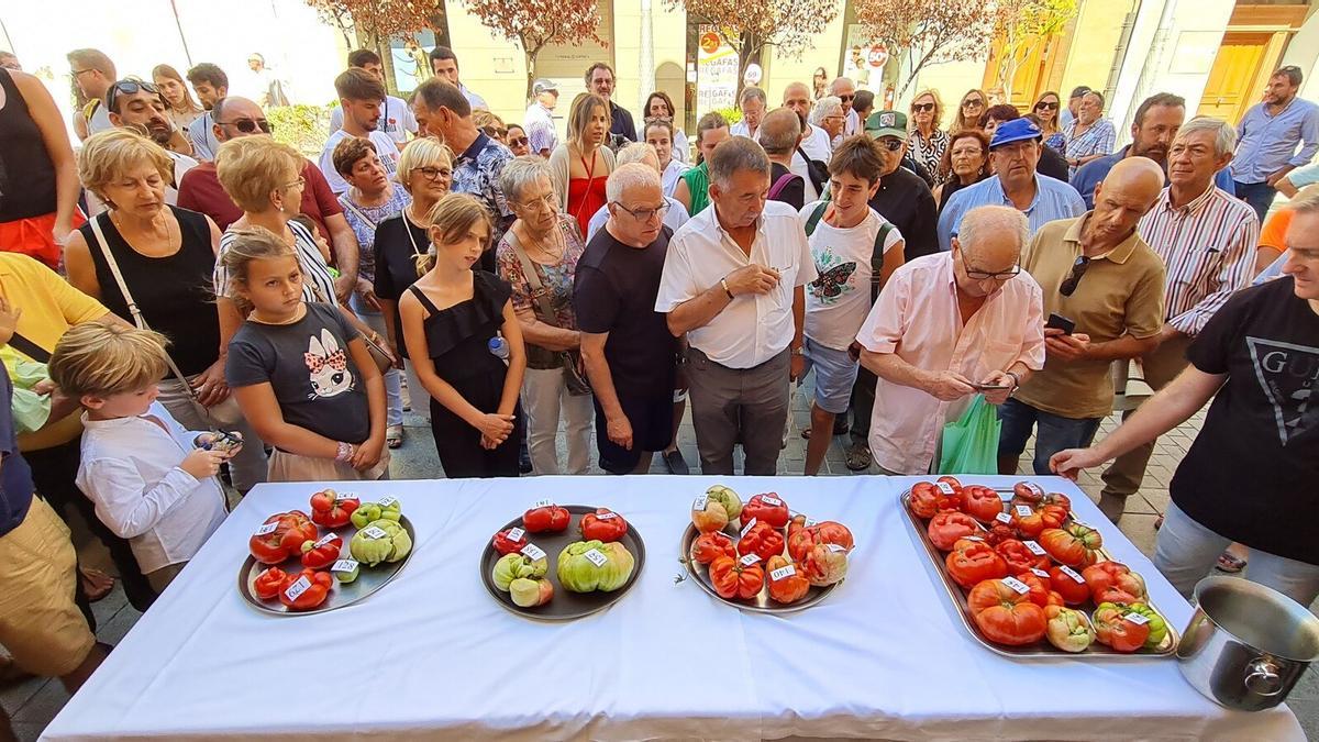 FERIA DEL TOMATE FEO DE TUDELA