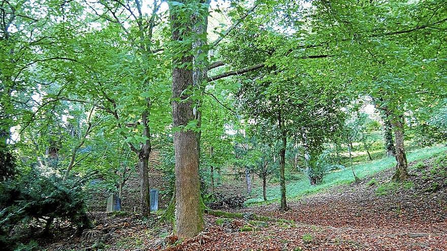 El Rally Fotográfico del Anillo Verde Azul en Zarautz se celebra el domingo