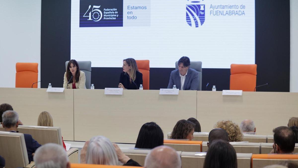 Federación Española de Municipios y Provincias, FEMP.