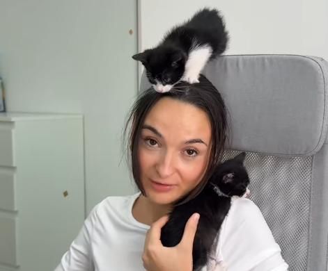 Patitas&amp;Co busca expandirse con iniciativas beneficiosas para las mascotas y sus tutores.