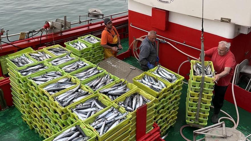 La flota vasca ha capturado 4,4 millones de kilos de anchoa
