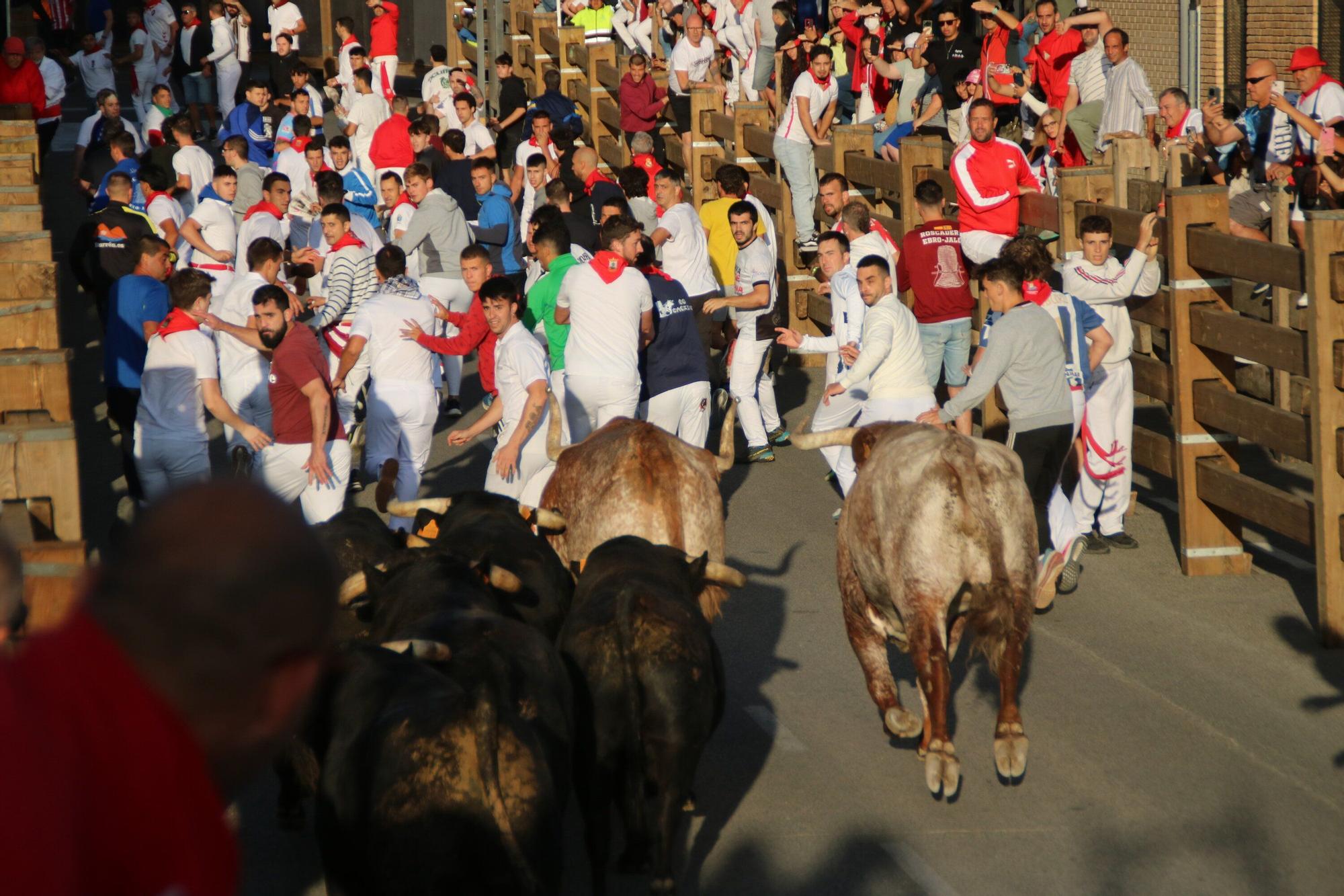 Fotos del tercer encierro de las fiestas de Tudela 2025