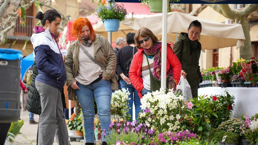 En imágenes: Elciego disfruta de la XIII Feria de la Flor y la Huerta