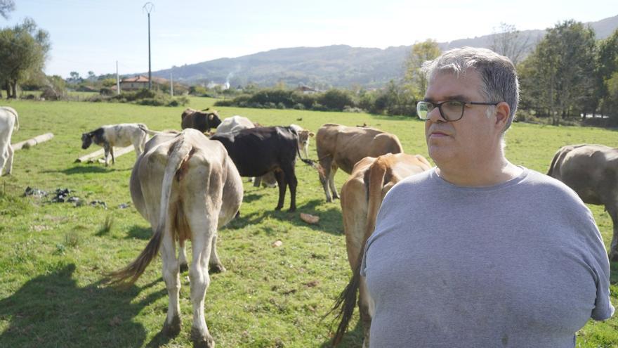 Dermatosis nodular contagiosa: &quot;Un único contagio nos puede suponer la ruina&quot;