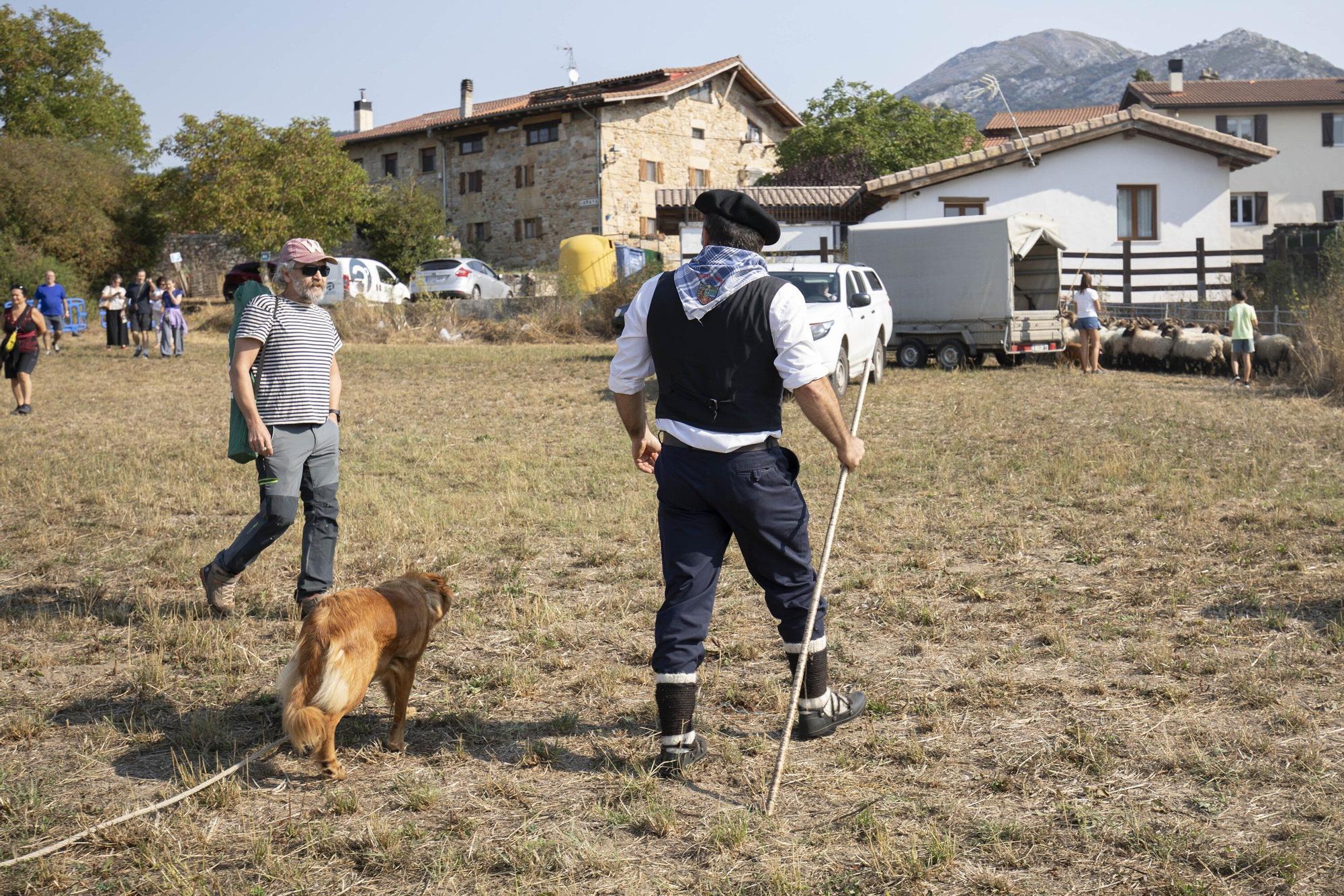 En imágenes: LXI edición del Campeonato de Araba de Perro de Pastor