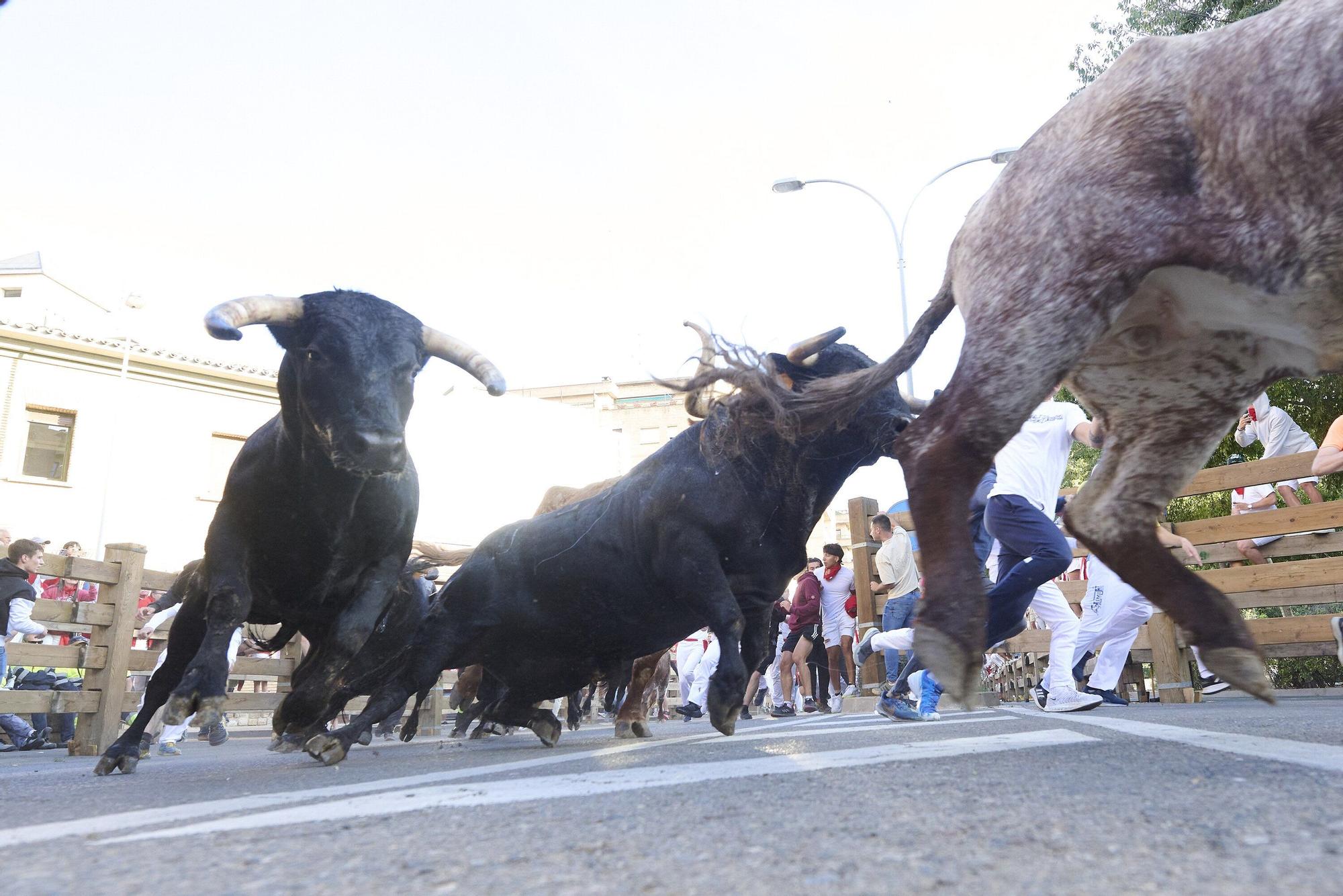 Fotos del tercer encierro de las fiestas de Tudela 2025