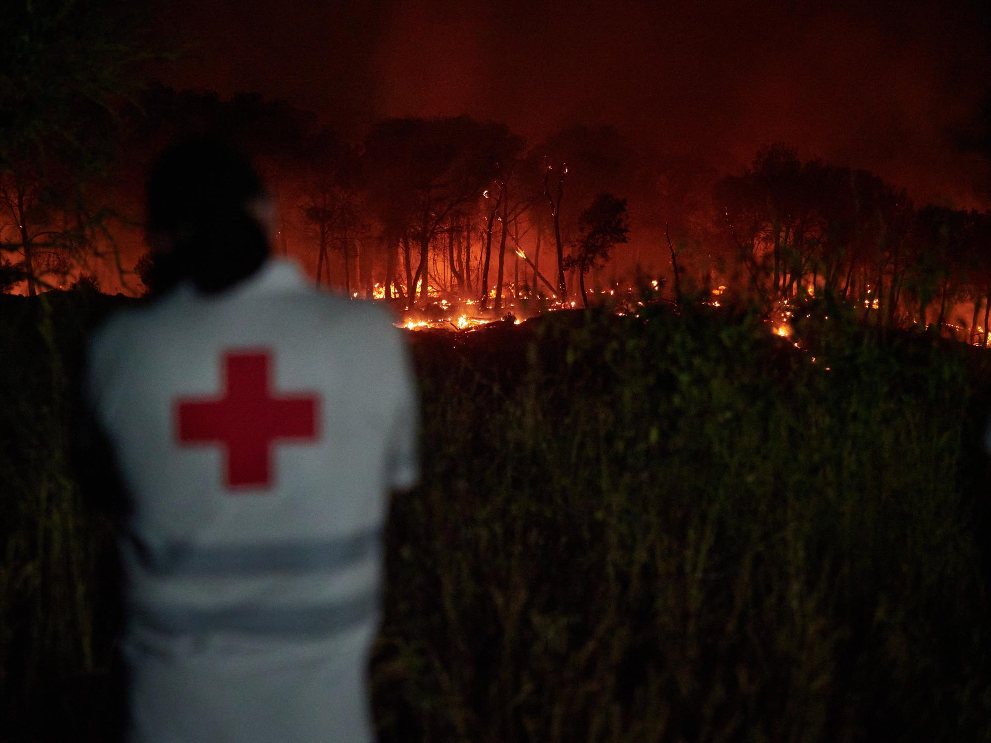 Fotos del incendio forestal cerca de Carcastillo