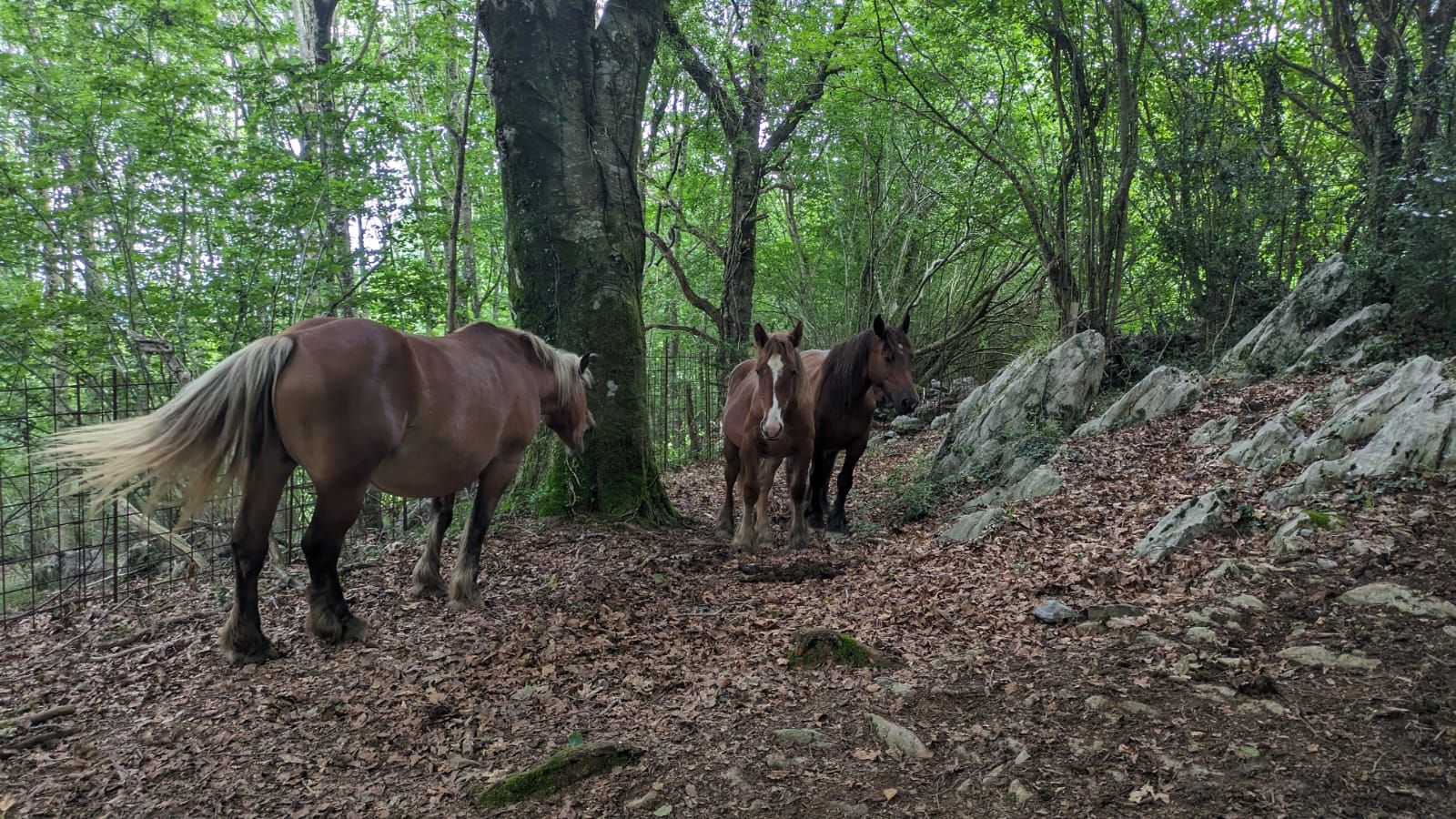 En imágenes: UTT Erronka VI