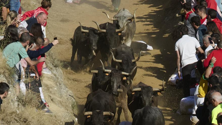 Fotos del penúltimo encierro del Pilón de Falces 2025
