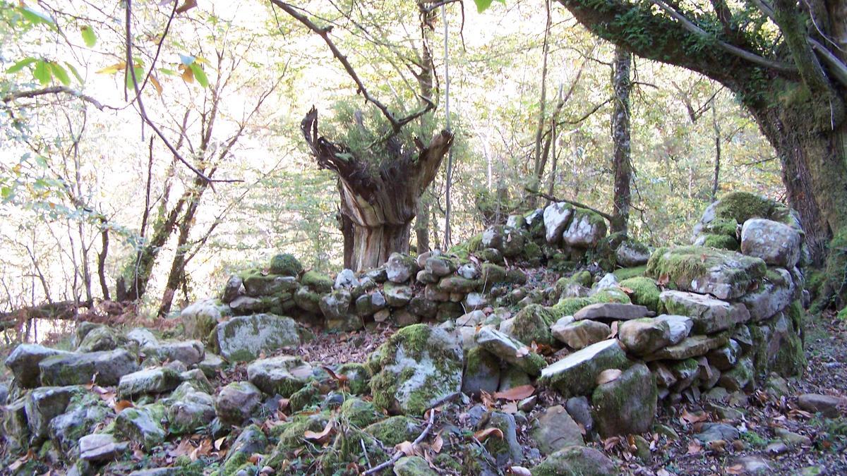 Restos de una ericera o kirikiño-hesi en los montes de Orozko