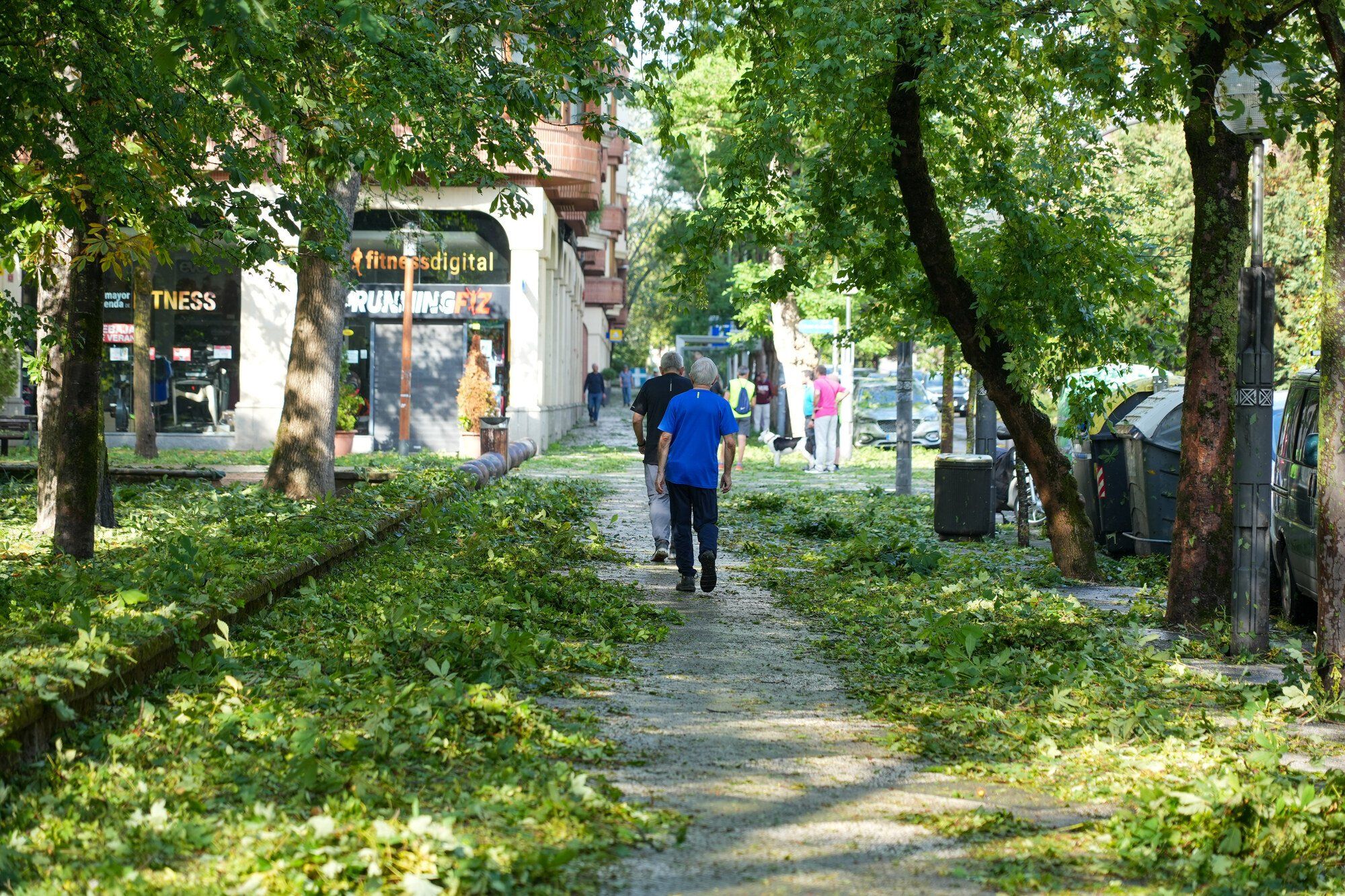 En imágenes: Así ha amanecido la capital alavesa tras la espectacular granizada