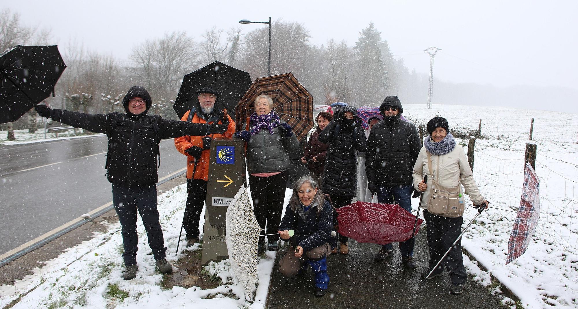 Fotos de la nieve en Navarra (20 de noviembre de 2025)