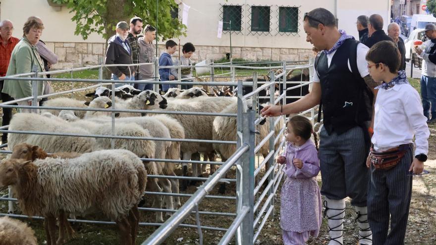 La feria agroganadera de Agurain congrega a miles de personas en su 630ª edición