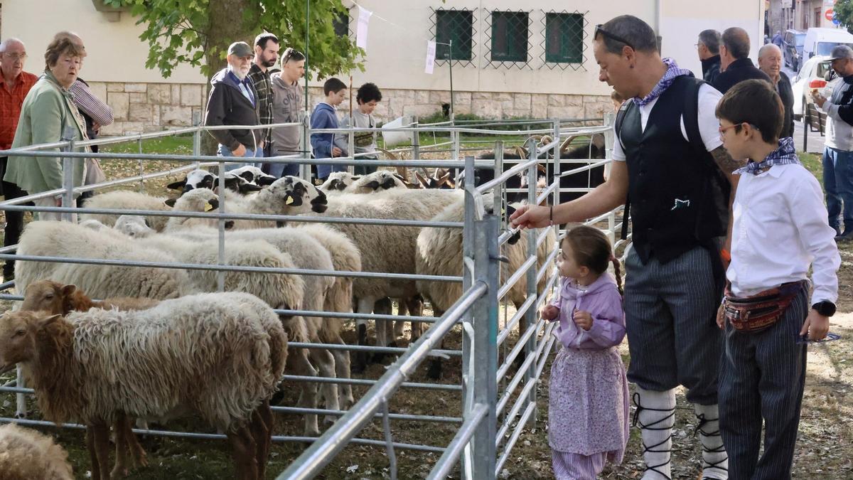 En imágenes: Miles de personas disfrutan de la 630 edición de la feria de Agurain