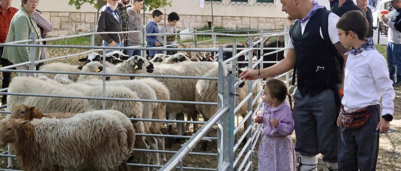 VÍDEO: Miles de personas disfrutan de la 630 feria de Agurain
