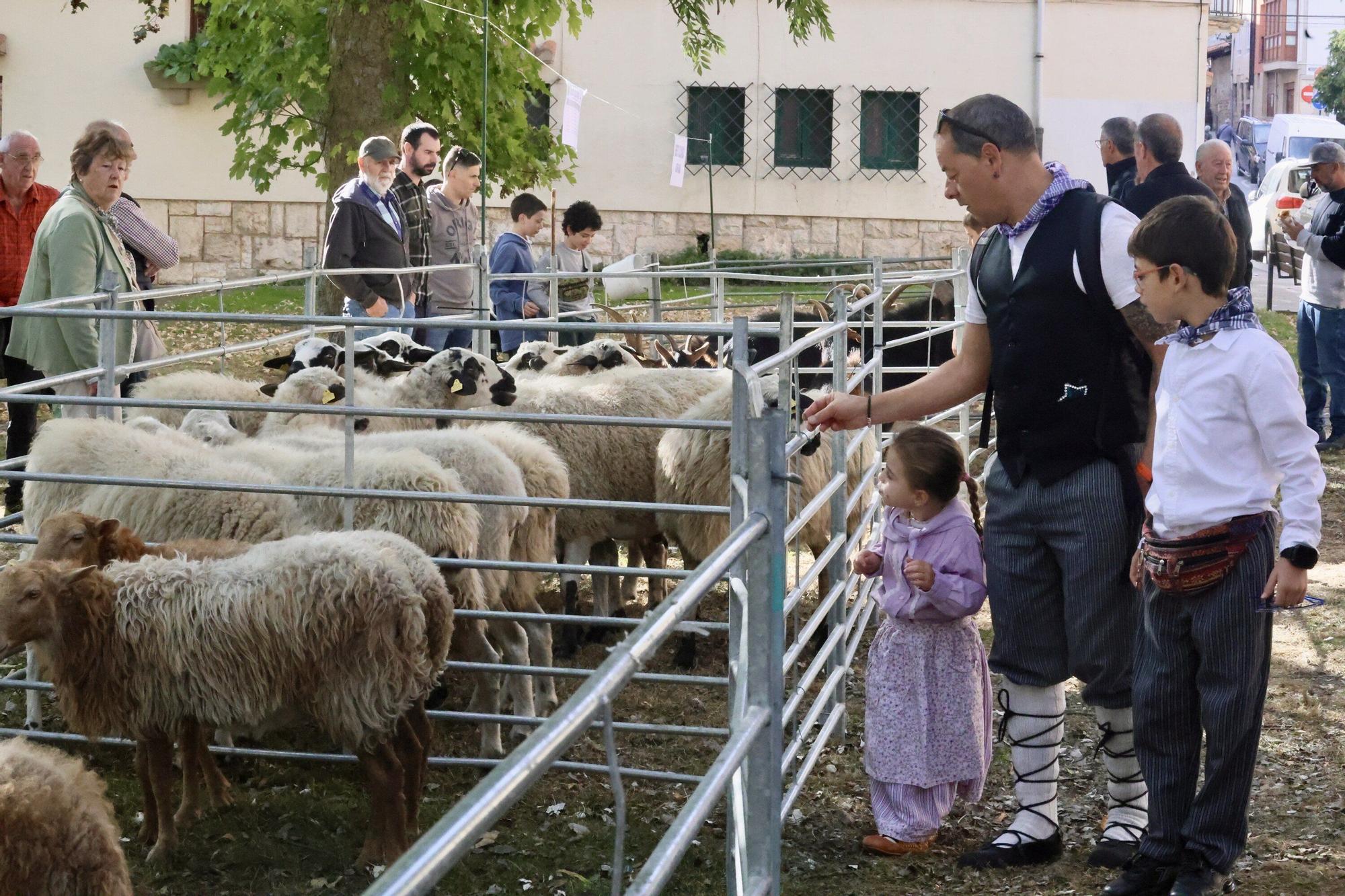 En imágenes: Miles de personas disfrutan de la 630 edición de la feria de Agurain
