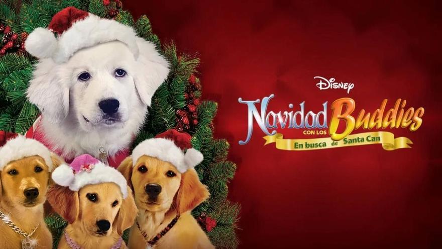 Especial Navidad: las mejores películas, libros y contenido en redes para estas fechas