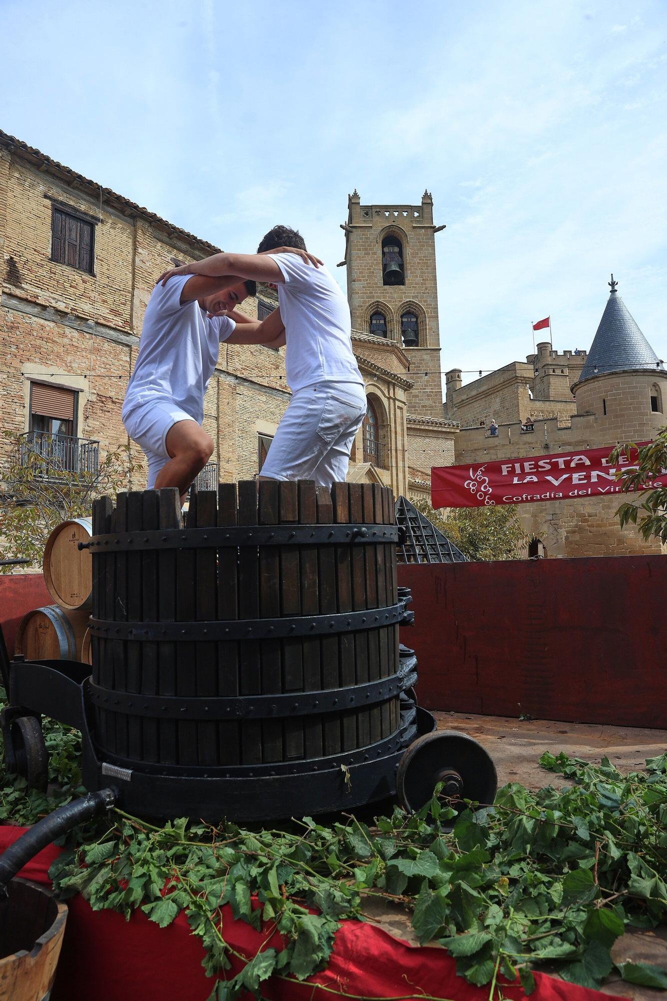 Fotos de la Fiesta de la Vendimia 2025 en Olite