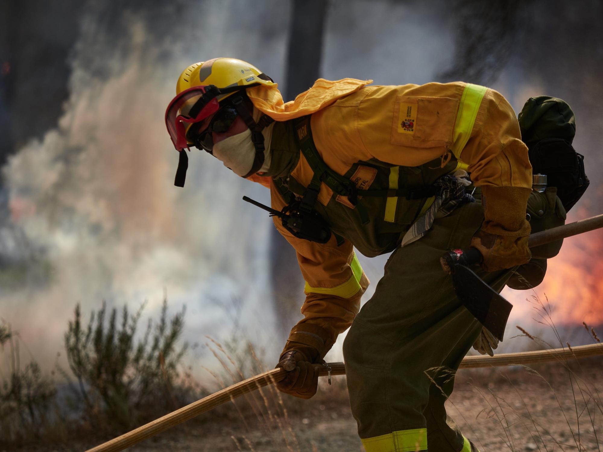 Fotos del incendio forestal cerca de Carcastillo