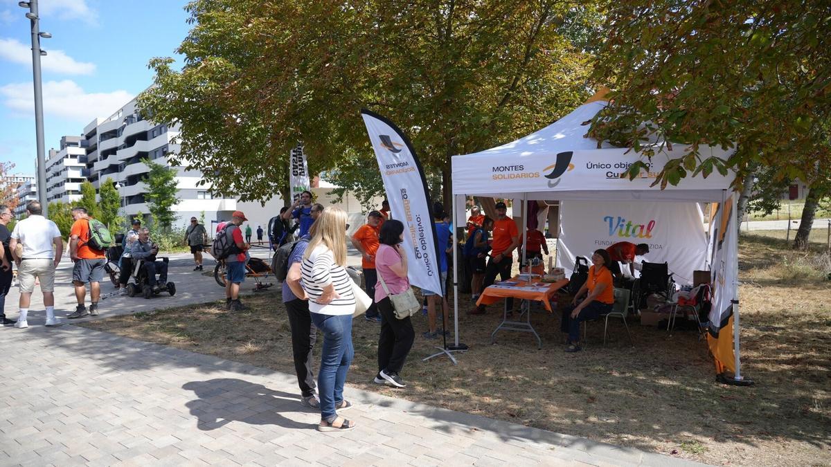 Montes Solidarios en Olarizu.