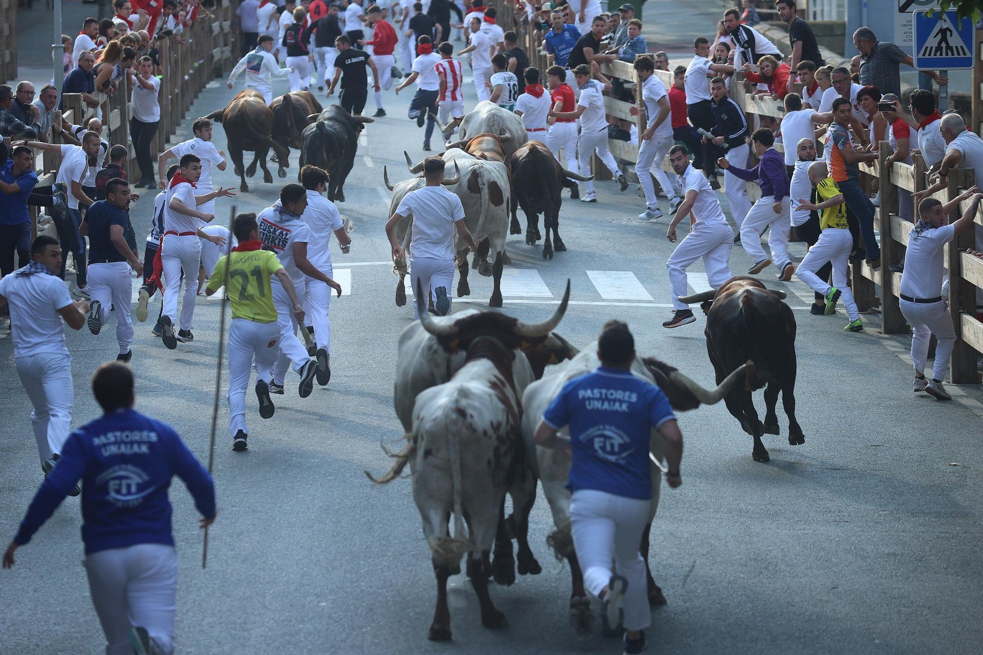 Fotos del quinto encierro de las fiestas de Tafalla 2025