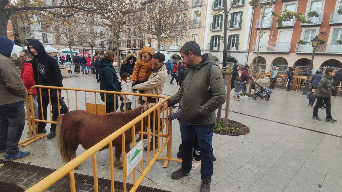 La moción socialista propone acceso a la cartelería de fiestas y ferias.