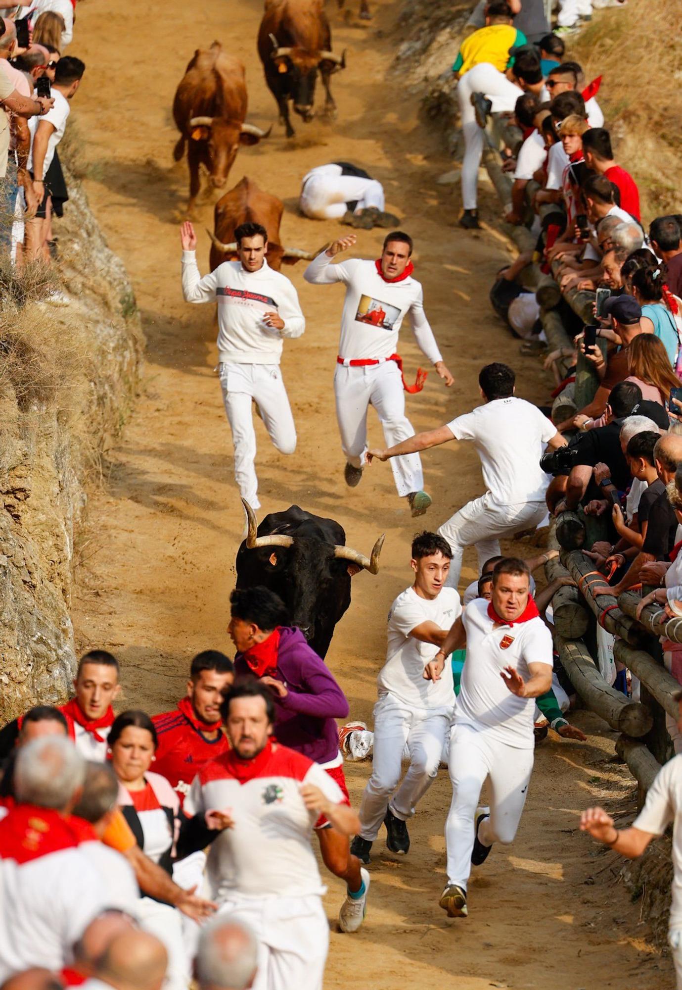 Fotos del segundo encierro del Pilón de Falces 2025