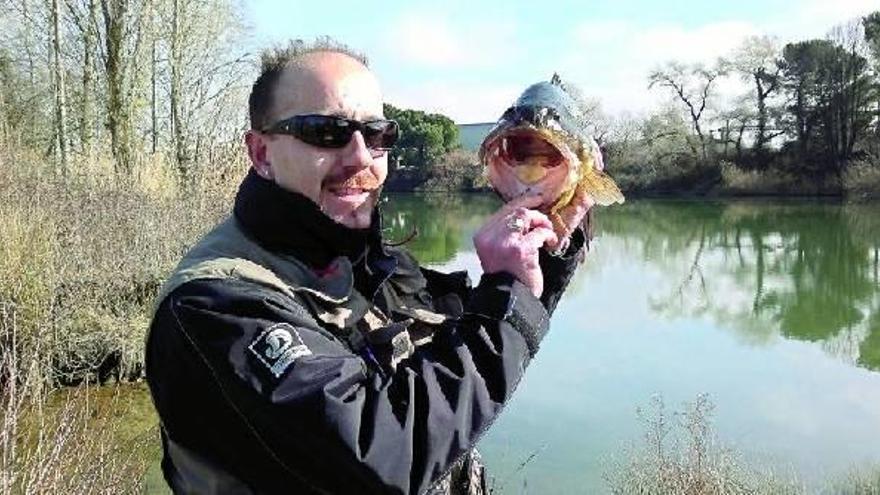 Un vecino de Abetxuko pesca en el Ebro una perca americana negra de más de tres kilos y 52 centímetros
