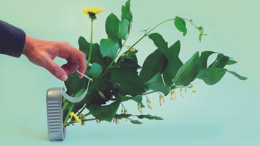 &#039;Pensavientos&#039;, de Alberto Arellano, un ejercicio de &quot;libertinaje visual&quot;