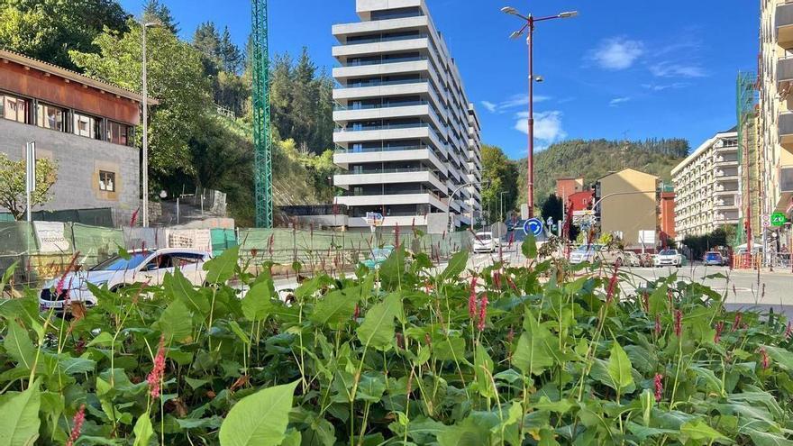 Ermua abre a la participación ciudadana el proyecto de la Senda Verde