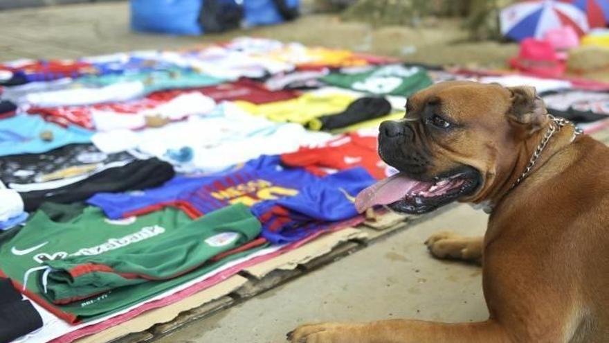 La Policía Local ha realizado 343 actuaciones contra el ‘top manta’