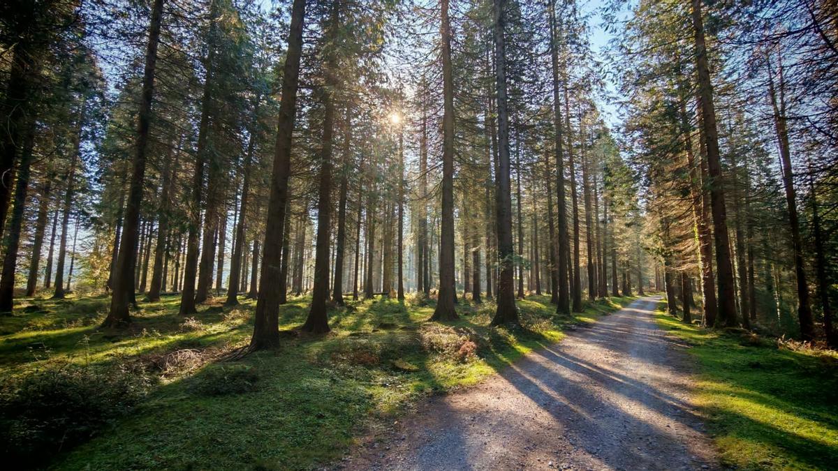 La parte final es un regalo para los sentidos
