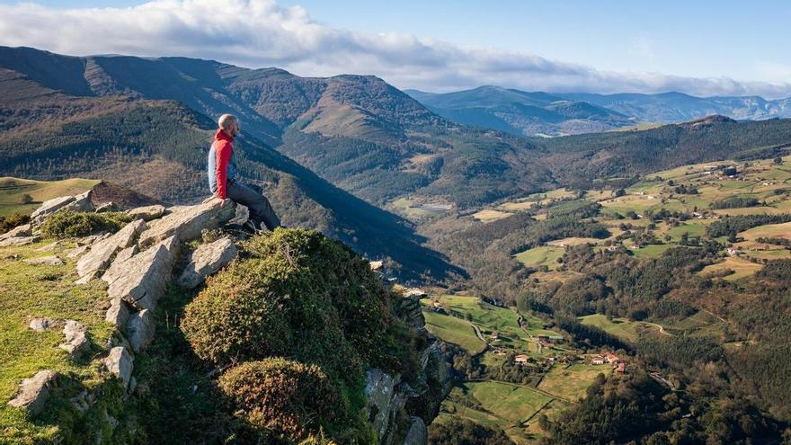 La madera, un sector con fuertes raíces en Bizkaia