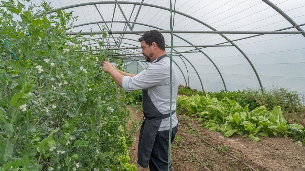 Invernadero de la huerta del Basque Culinary Center