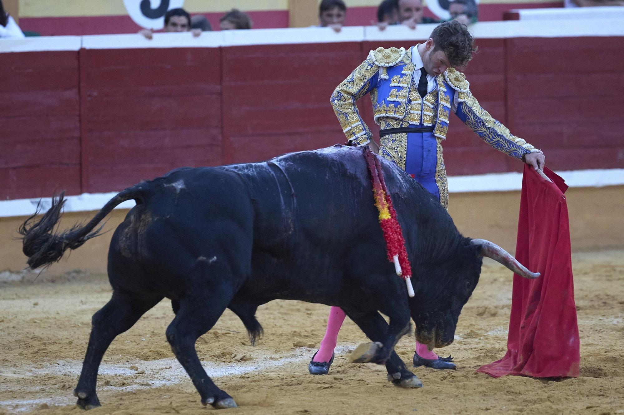 Fotos de la corrida de toros en Tudela con toros de Garzón Valdenebro