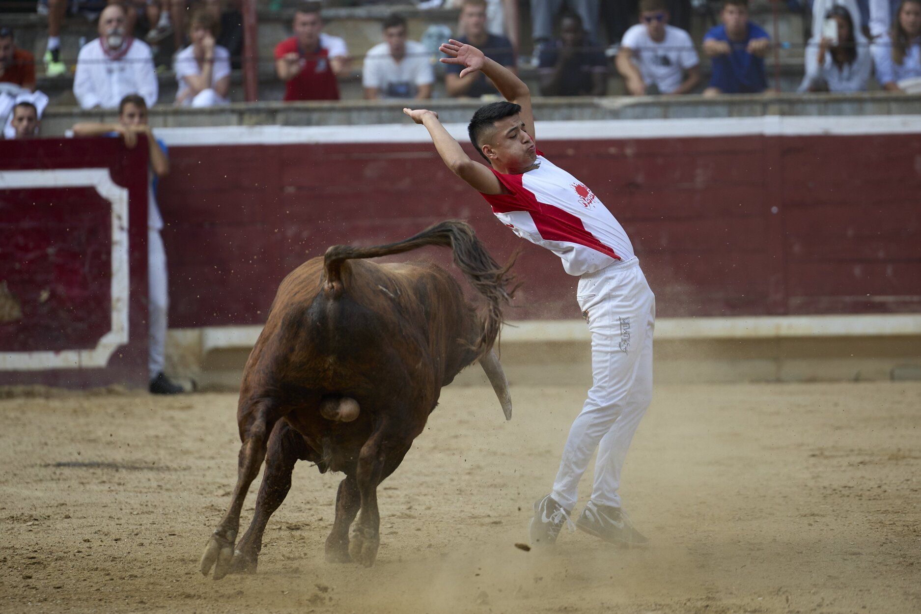 Fotos del concurso de recortadores de fiestas de Tafalla