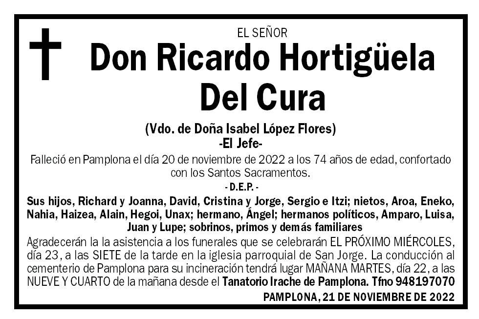 Ricardo Hortigüela Del Cura