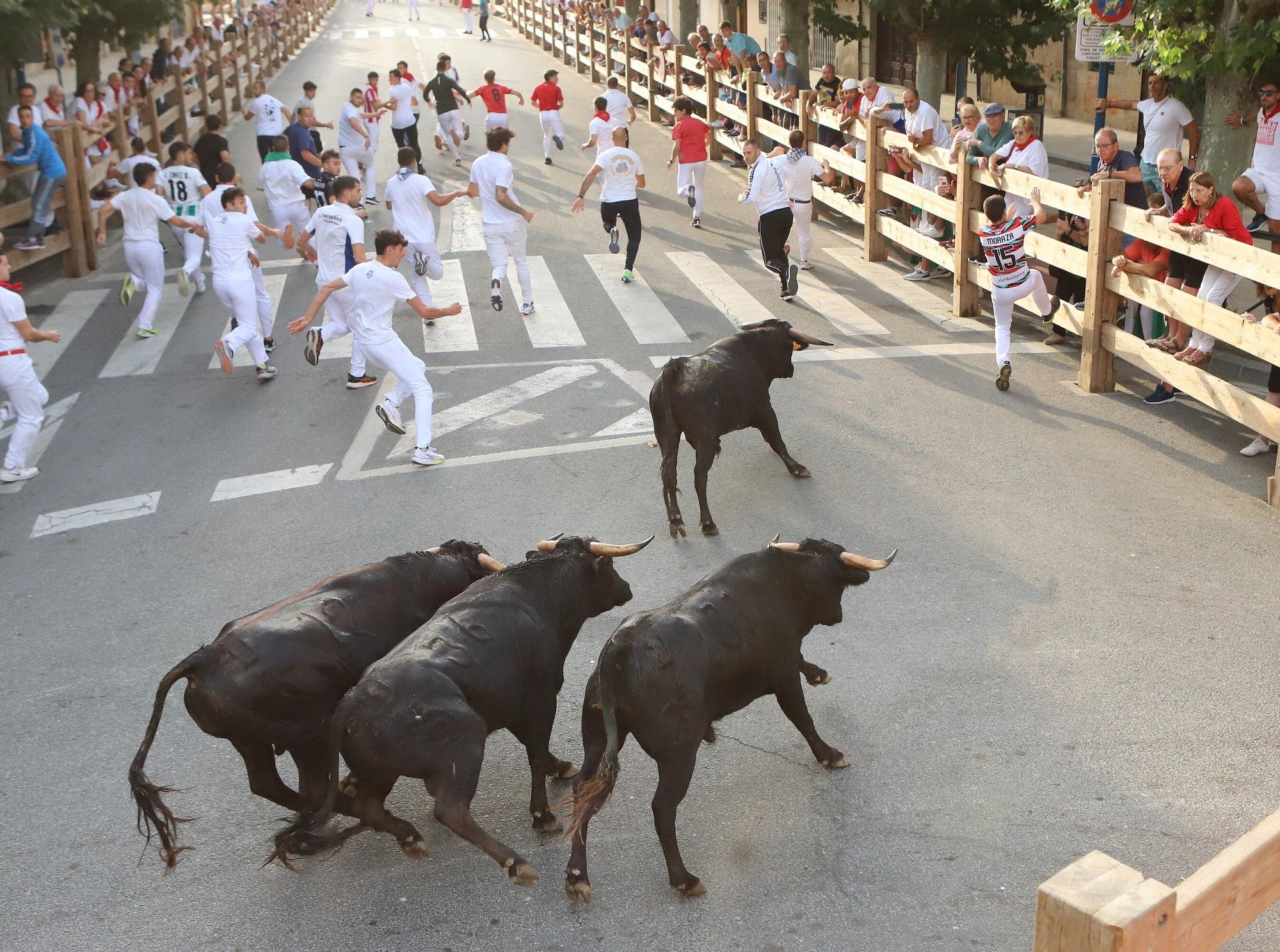 Fotos del cuarto encierro de fiestas de Tafalla 2025