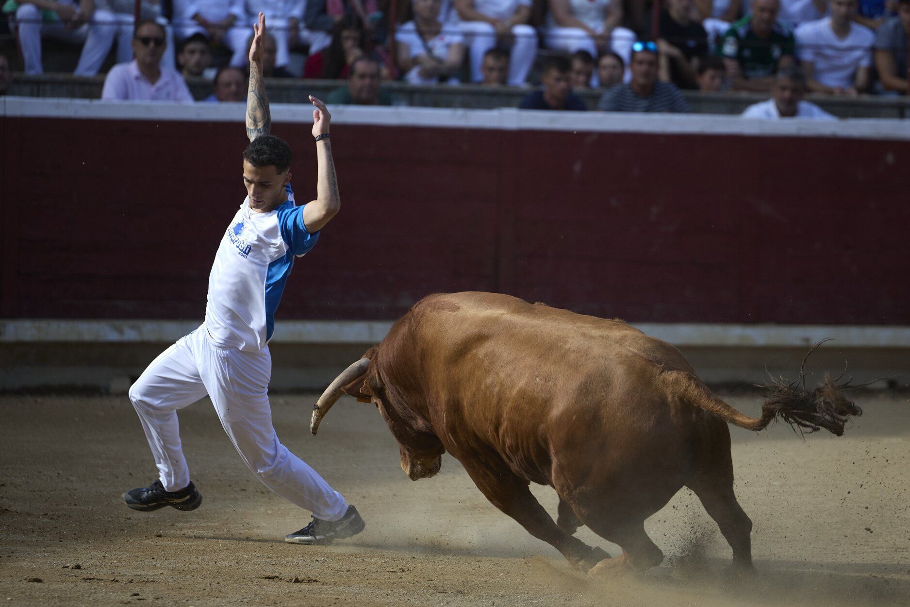 Fotos del concurso de recortadores de fiestas de Tafalla
