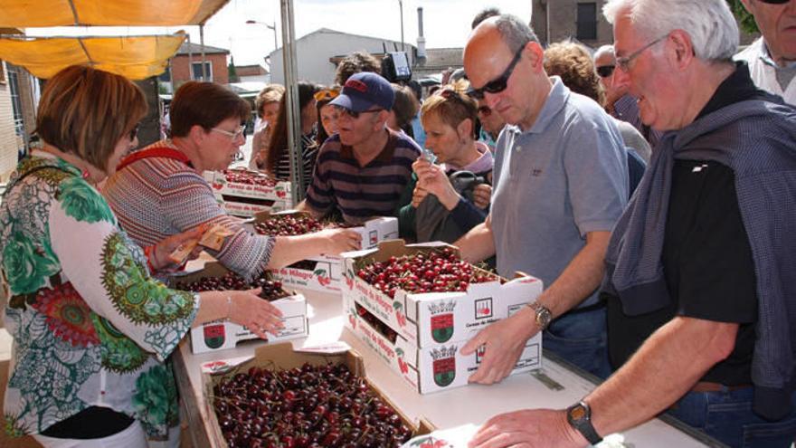 Menos fruto y visitantes en la 19ª Fiesta de la Cereza de Milagro